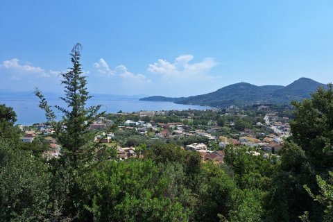 12000m² Land in Corfu, Greece No. 54187 2