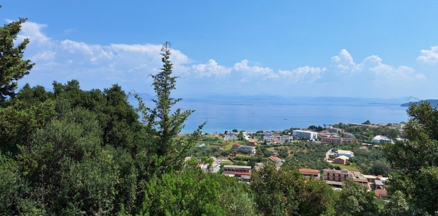 12000m² Land in Corfu, Greece No. 54187