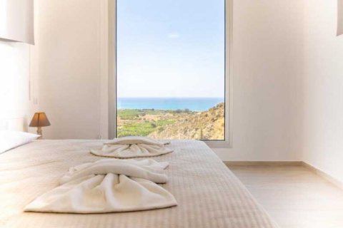 3 chambres Villa à Pegeia, Cyprus No. 84421 10