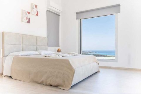 3 chambres Villa à Pegeia, Cyprus No. 84421 9