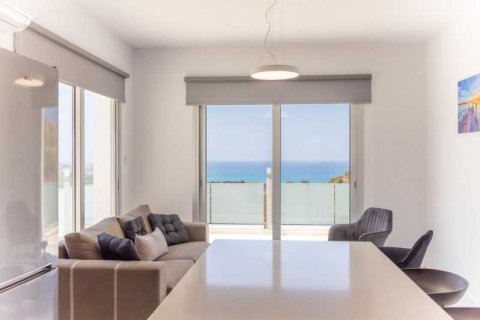 3 chambres Villa à Pegeia, Cyprus No. 84421 13