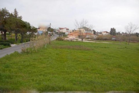 Land in Zakynthos, Greece No. 24552 3