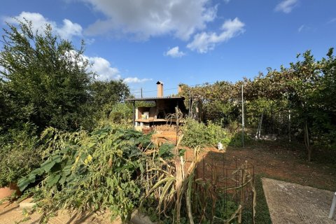 3 chambres House à Chania, Greece No. 76664 11