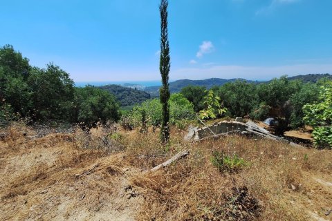 3310m² Land in Corfu, Greece No. 107427 3