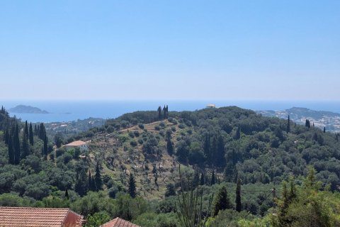 3310m² Land in Corfu, Greece No. 107427 2