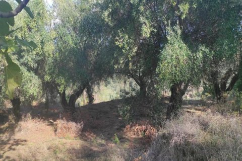 3310m² Land in Corfu, Greece No. 107427 5