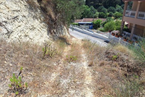 3310m² Land in Corfu, Greece No. 107427 10