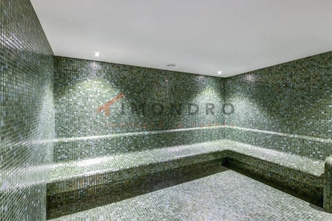 2 bedrooms Apartment in Thuy Nguyen, Vietnam No. 17707 15