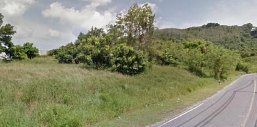 16600m² Land in Layan Beach, Thailand No. 95699