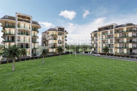 2 rooms Apartment in Chau Lang, Vietnam No. 12074 3