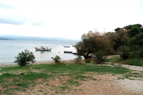 Здание 600м² в Лутракион, Греция №57822 14