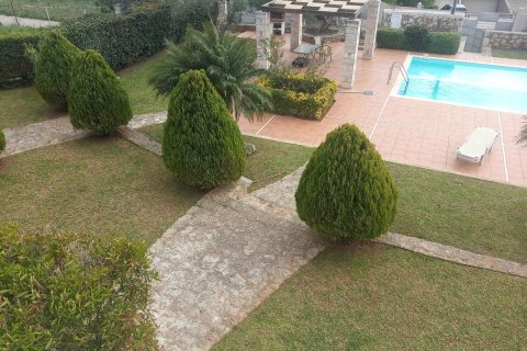 1 bedroom Apartment in Chania, Greece No. 23895 10