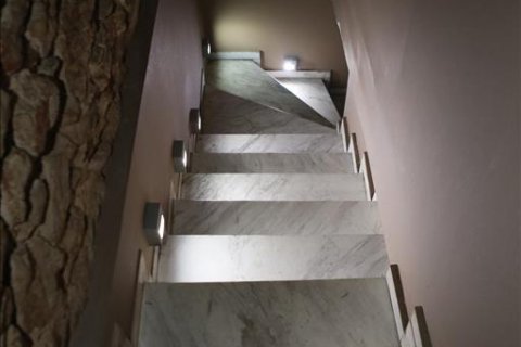 Коммерческая недвижимость 374м² в Пирей, Греция №57110 28