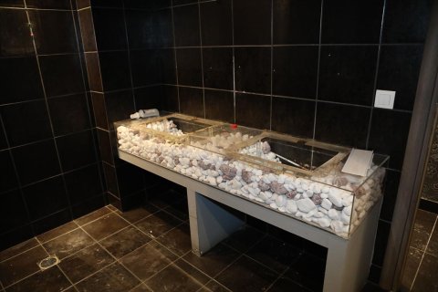 Коммерческая недвижимость 374м² в Пирей, Греция №57110 23