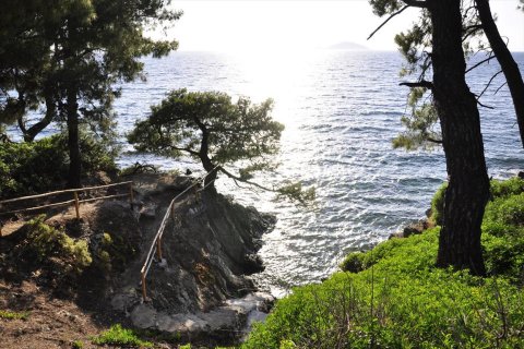 3800m² Land in Chalkidiki, Greece No. 109691 2