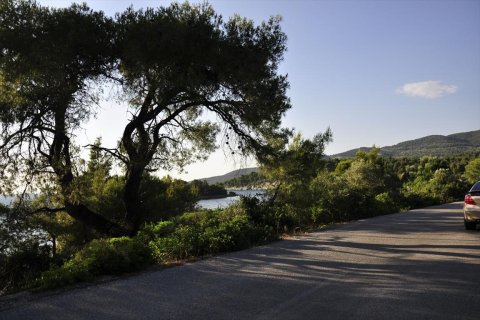 3800m² Land in Chalkidiki, Greece No. 109691 3