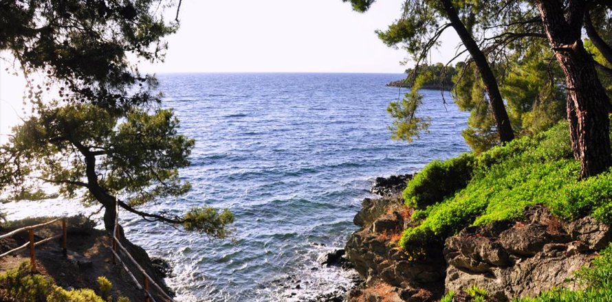 3800m² Land in Chalkidiki, Greece No. 109691