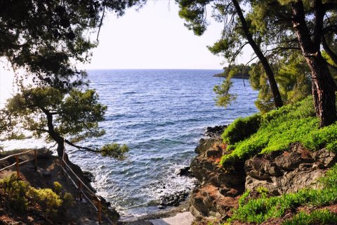 3800m² Land in Chalkidiki, Greece No. 109691