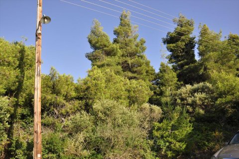 3800m² Land in Chalkidiki, Greece No. 109691 6