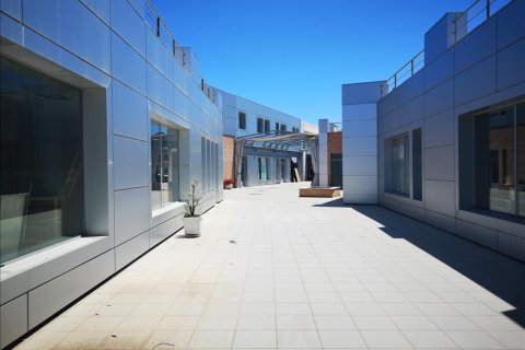 5400m² Building in Pikermi, Greece No. 56984 4