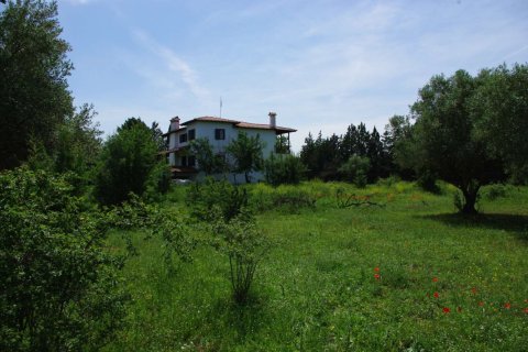 7 habitaciones House en Vasilika, Greece No. 55762 9