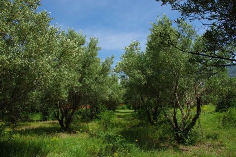 7 habitaciones House en Vasilika, Greece No. 55762 12