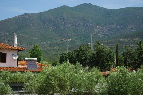 7 habitaciones House en Vasilika, Greece No. 55762 27