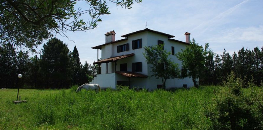 7 habitaciones House en Vasilika, Greece No. 55762