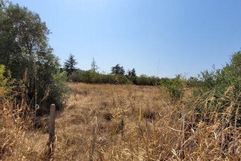 5000m² Land in Thermi, Greece No. 109374 3
