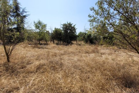 5000m² Land in Thermi, Greece No. 109374 2
