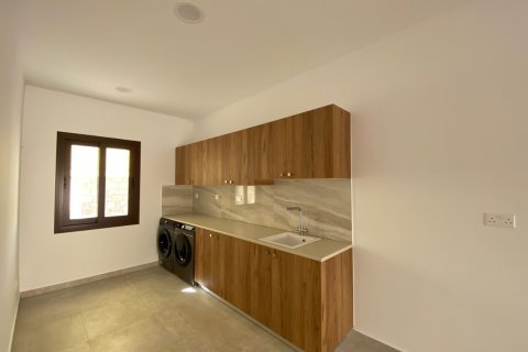 6 chambres House à Limassol, Cyprus No. 73482 11