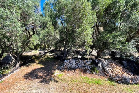 290m² Villa in Corfu, Greece No. 112917 26