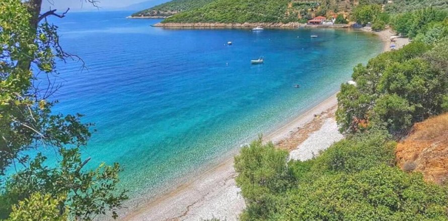 2 chambres House à Argalasti, Greece No. 54293