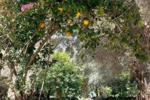 2 chambres House à Argalasti, Greece No. 54293 18