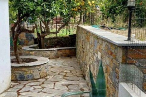 2 chambres House à Argalasti, Greece No. 54293 8