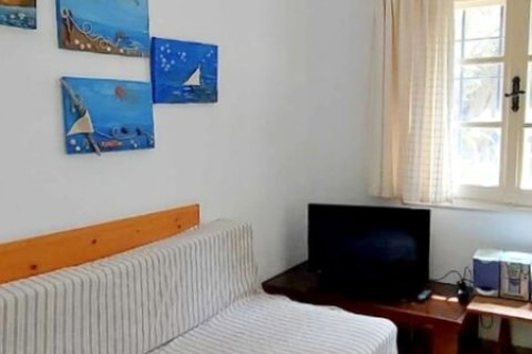 2 chambres House à Argalasti, Greece No. 54293 13