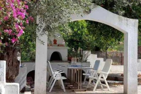 2 chambres House à Argalasti, Greece No. 54293 20