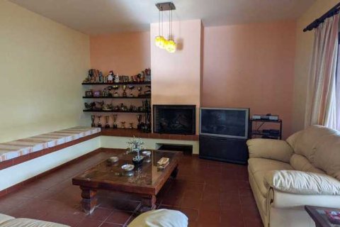 Дом с 5 спальнями в Гермасойя, Кипр №29350 10