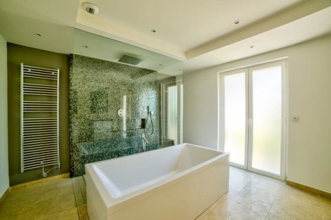 Вилла с 7 спальнями в Муан-Сарту, Франция №75777 15