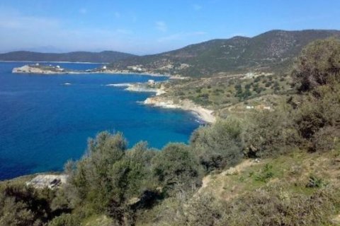 116000m² Land en Karystos, Greece No. 58982 3