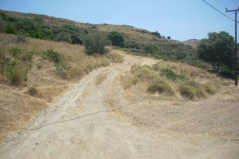 116000m² Land en Karystos, Greece No. 58982 18