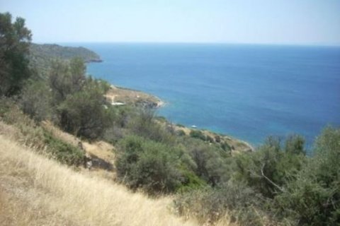116000m² Land en Karystos, Greece No. 58982 22
