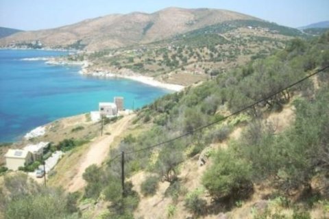 116000m² Land en Karystos, Greece No. 58982 16