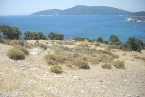 116000m² Land en Karystos, Greece No. 58982 19