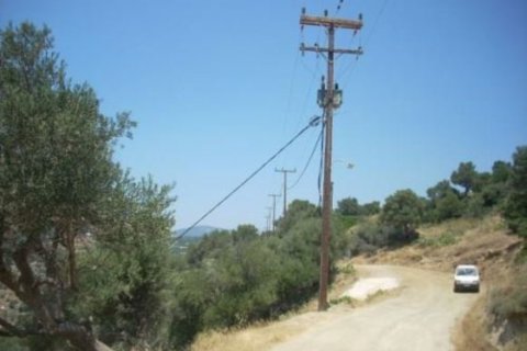 116000m² Land en Karystos, Greece No. 58982 14