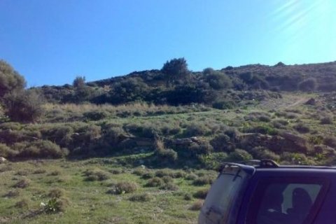 116000m² Land en Karystos, Greece No. 58982 10