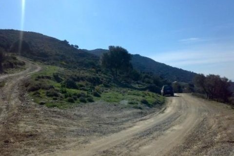 116000m² Land en Karystos, Greece No. 58982 6