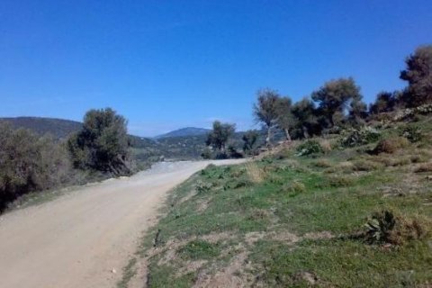 116000m² Land en Karystos, Greece No. 58982 1