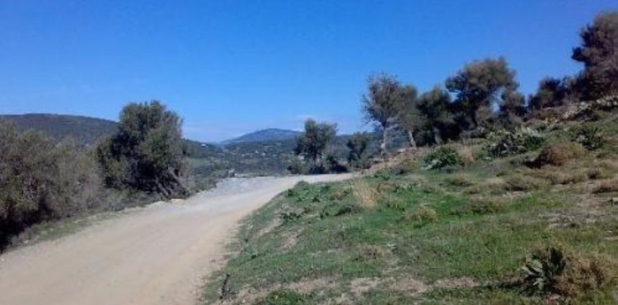 116000m² Land en Karystos, Greece No. 58982