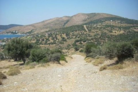 116000m² Land en Karystos, Greece No. 58982 15